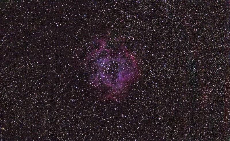 Rosette-St-43129s copy.jpg