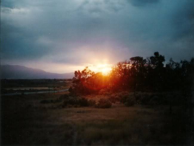 rsz_image0-1.jpg