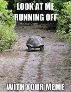 running off with your meme.webp