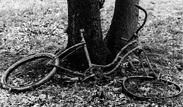 Rusty_Schwinn.JPE