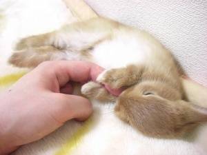 s-Cuddles.jpg