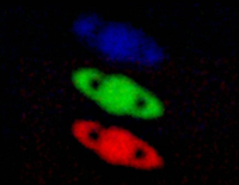 saturn_wavelet_sharpened_channels_separated_4x.jpg