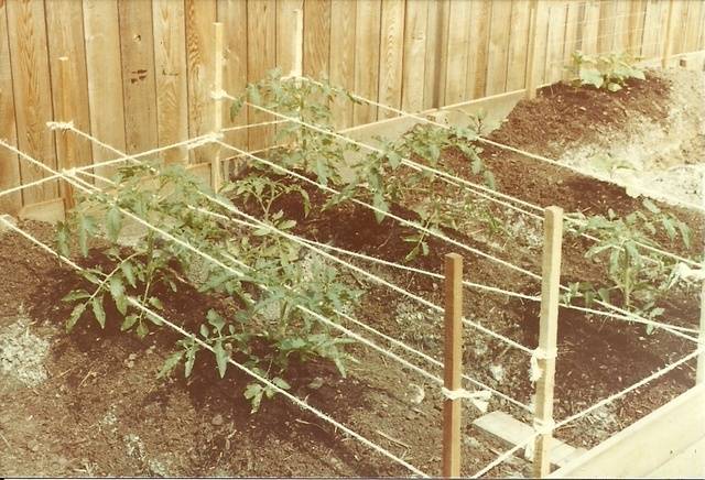 scan0001yf.jpg