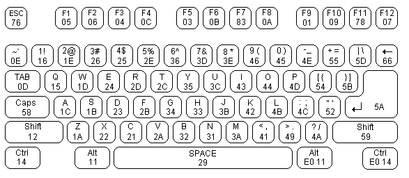 scancod1.gif