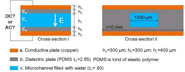 Schematic_1.jpg