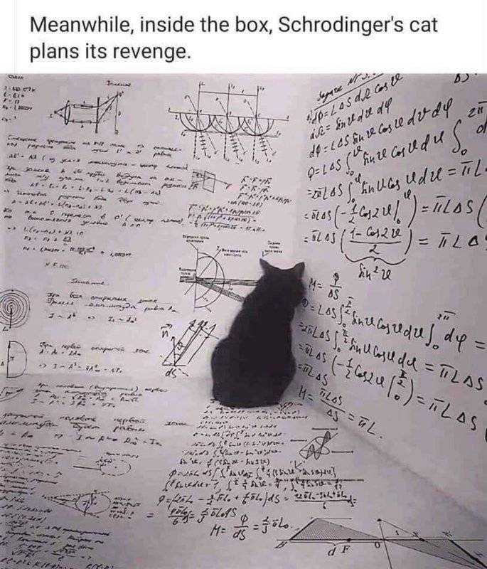 Schrodinger's cat.jpg