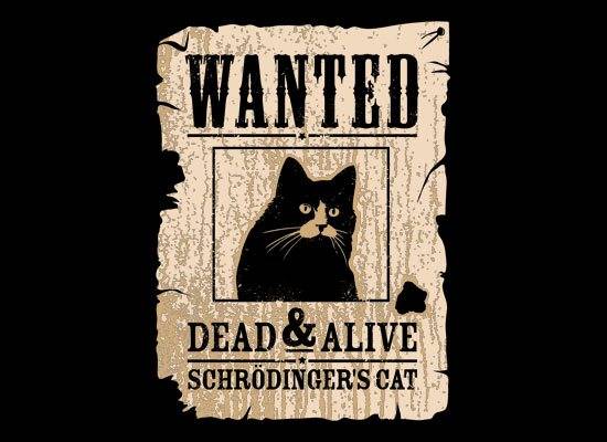 schrodingerscat_fullpic.jpg