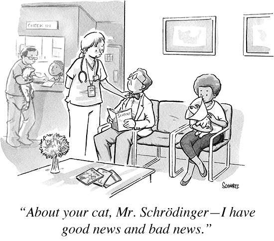 Schroedingers-Cat-good-news-and-bad-news.jpg