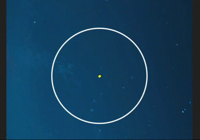 Screen Recording 2022-07-27 at 21.08.40.gif