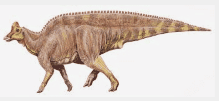 Screen Shot 2020-03-21 at 4.40.49 PM.png