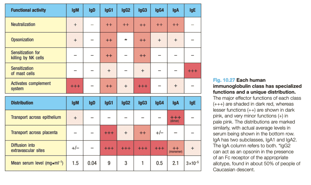 Screen Shot 2020-08-17 at 11.52.56 PM.png