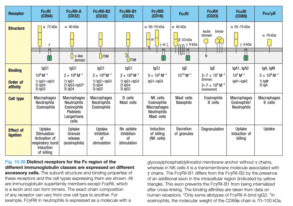 Screen Shot 2020-08-17 at 11.53.14 PM.png