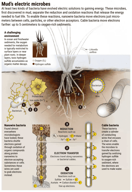 Screen Shot 2020-08-20 at 8.04.27 PM.png