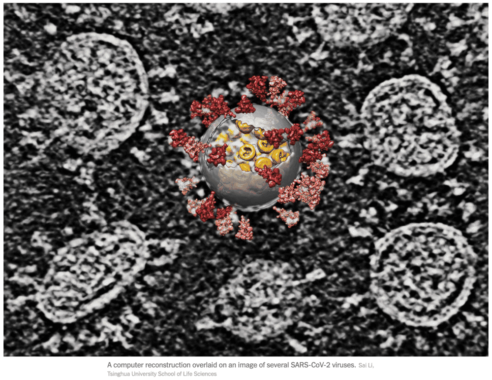 Screen Shot 2020-10-13 at 5.12.19 PM.png