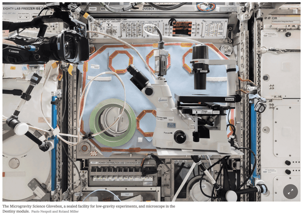 Screen Shot 2020-11-04 at 11.07.37 PM.png