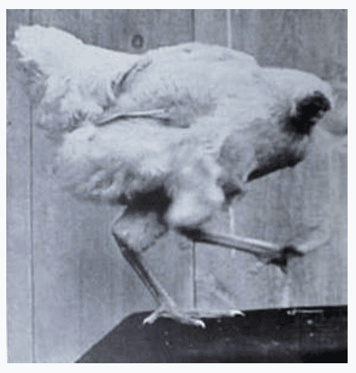 Screen Shot 2020-12-23 at 5.50.10 PM.png