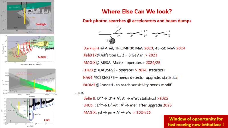Screenshot 2023-08-04 at 01-12-49 PowerPoint Presentation - Guineapig23_X17_V_Zacek.pdf.png