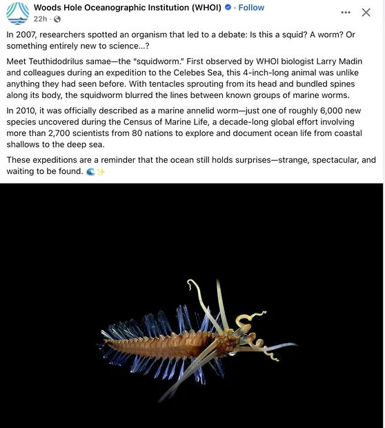 Screenshot 2025-10-03 at 11.26.15 AM.webp