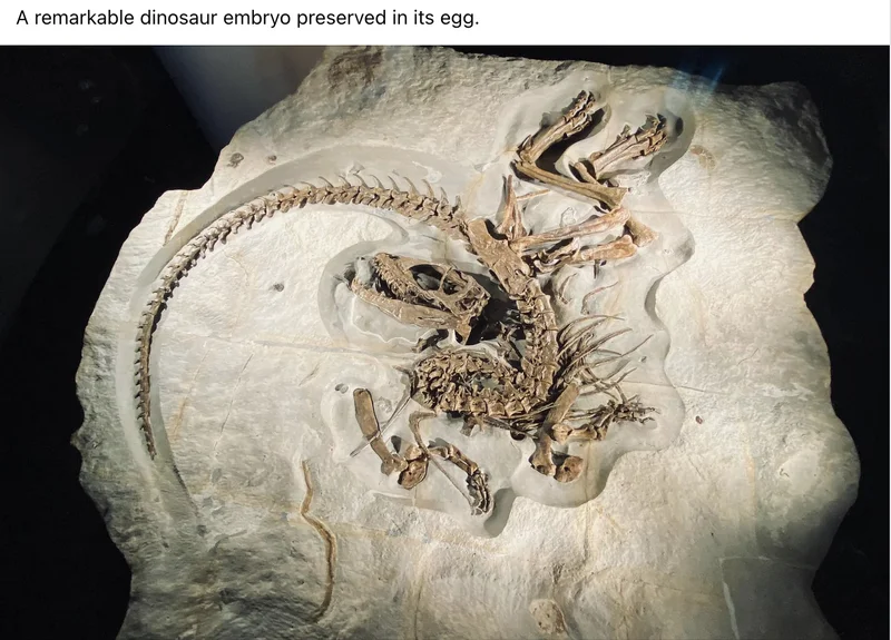 Screenshot 2025-10-29 at 9.04.48 AM.webp