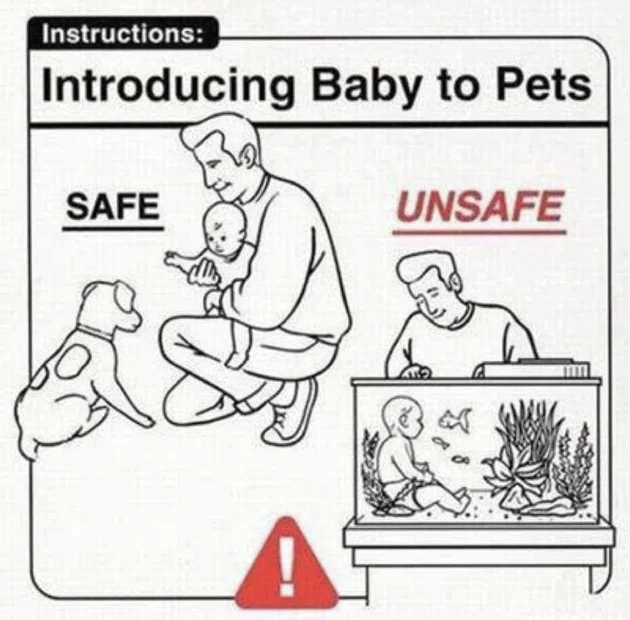 Screenshot 2025-11-02 at 8.13.17 AM.webp