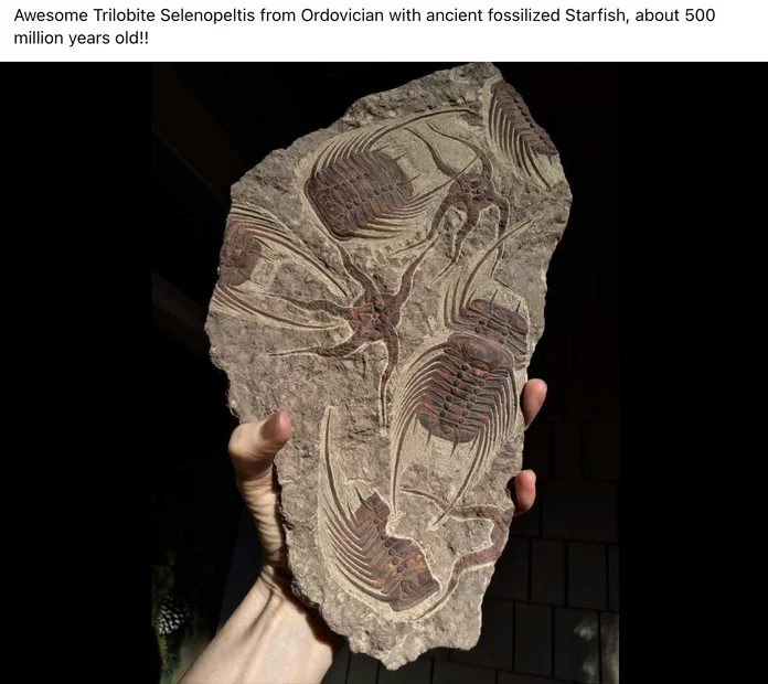 Screenshot 2025-11-03 at 3.34.43 PM.webp