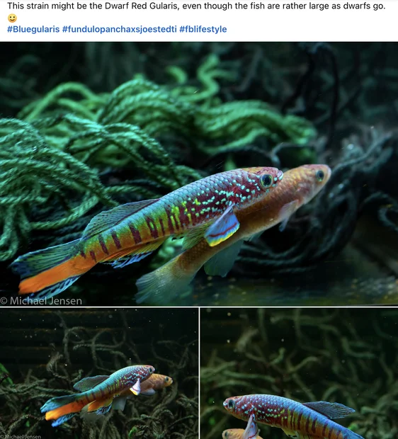 Screenshot 2025-11-03 at 4.03.40 PM.webp