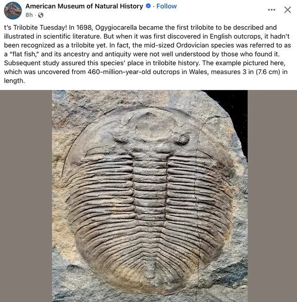 Screenshot 2025-11-04 at 2.18.29 PM.webp