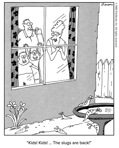 Screenshot 2025-11-19 at 7.24.07 AM.webp