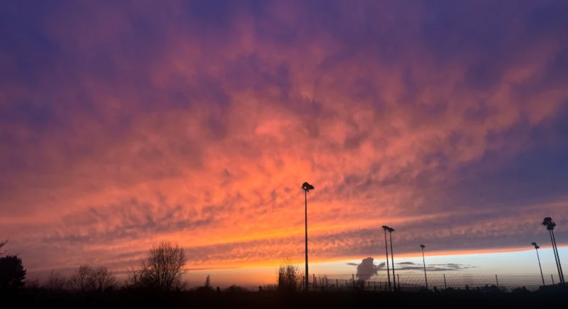 Screenshot 2026-01-15 163747.webp