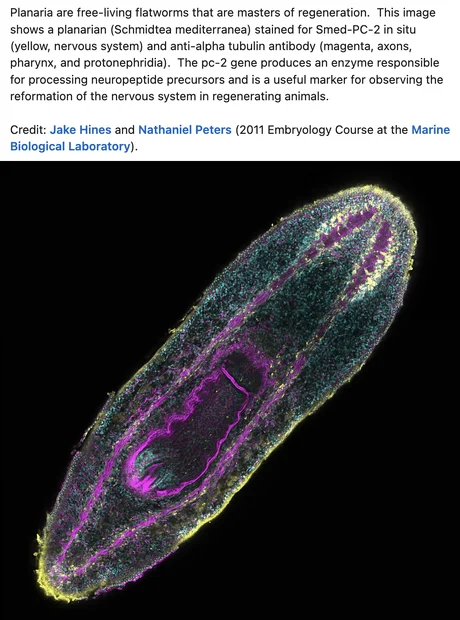 Screenshot 2026-02-16 at 9.17.41 AM.webp