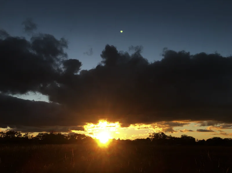 Screenshot 2026-02-23 at 1.00.22 AM.webp