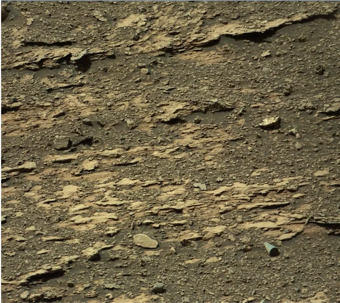 Screenshot 2026-03-09 081150.webp