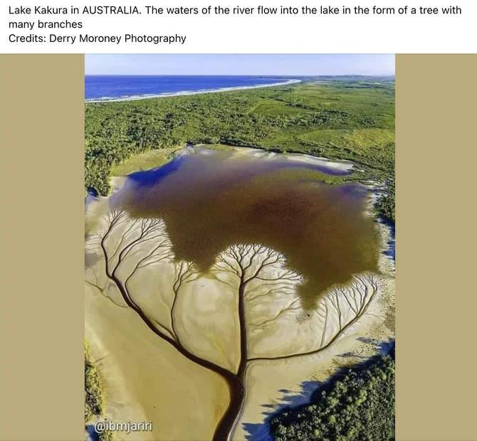 Screenshot 2026-03-10 at 7.21.52 AM.webp