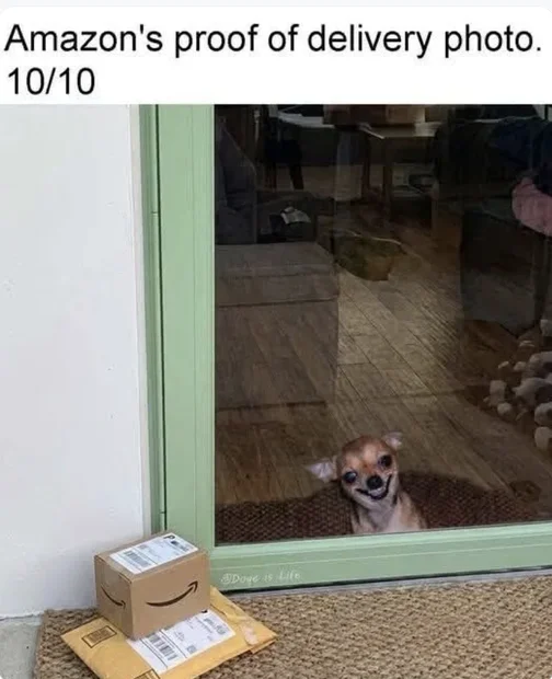 Screenshot 2026-03-25 at 10.22.04 AM.webp