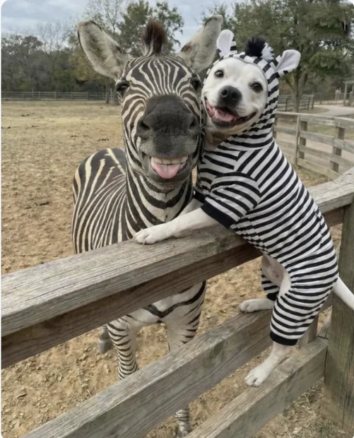 Screenshot 2026-04-05 at 5.24.11 PM.webp