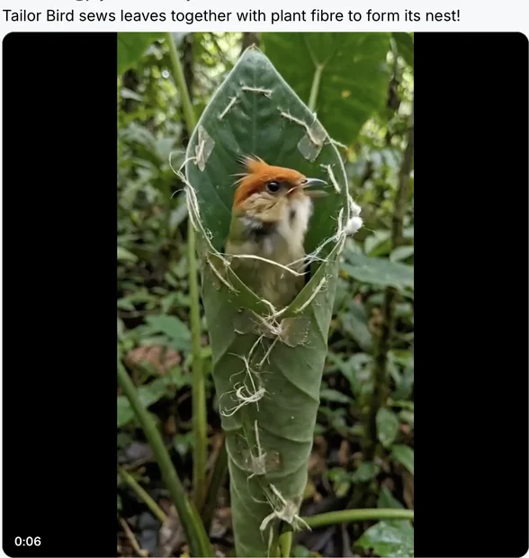 Screenshot 2026-04-10 at 11.06.49 AM.webp