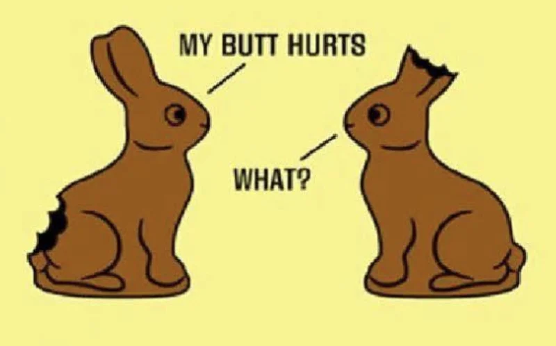 Screenshot 2026-04-11 at 3.54.03 PM.webp