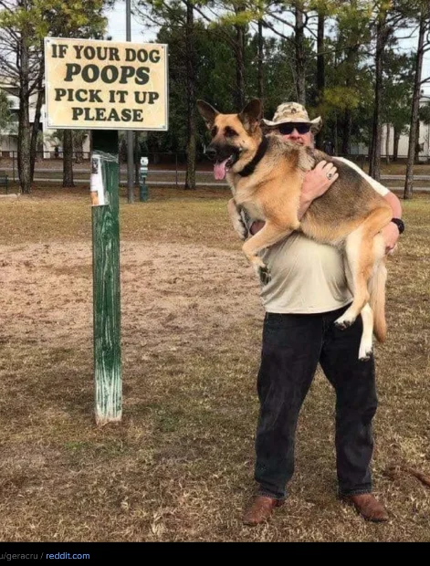 Screenshot 2026-04-11 at 4.48.20 PM.webp