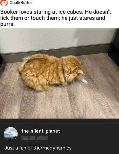 Screenshot 2026-04-13 at 3.12.39 PM.webp