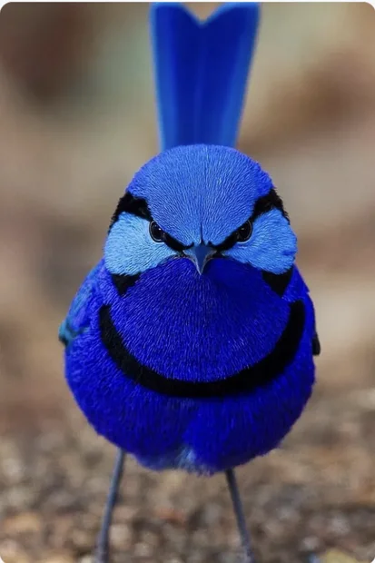 Screenshot 2026-04-14 at 12.29.57 PM.webp