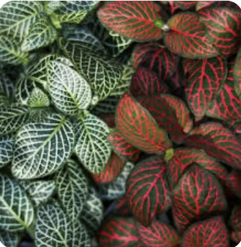 Screenshot 2026-04-17 at 11.38.38 AM.webp