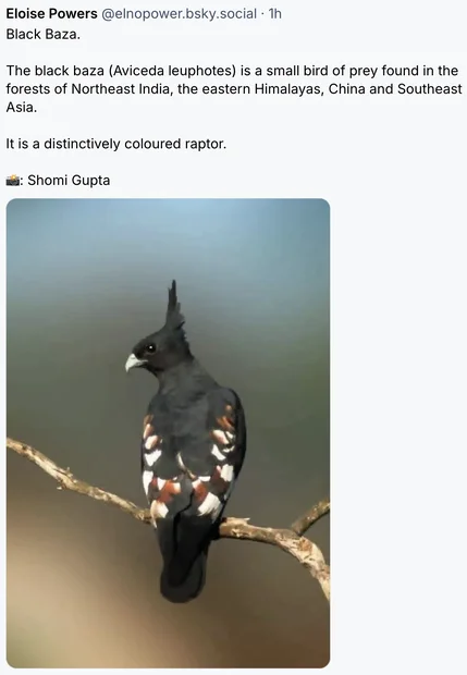 Screenshot 2026-04-17 at 4.38.56 PM.webp