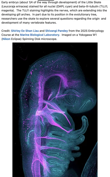 Screenshot 2026-06-29 at 9.31.58 AM.webp