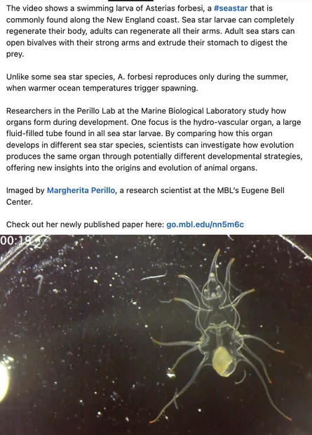 Screenshot 2026-07-01 at 9.31.35 AM.webp