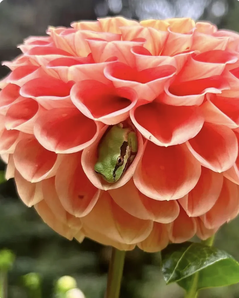 Screenshot 2026-08-16 at 7.26.30 PM.webp