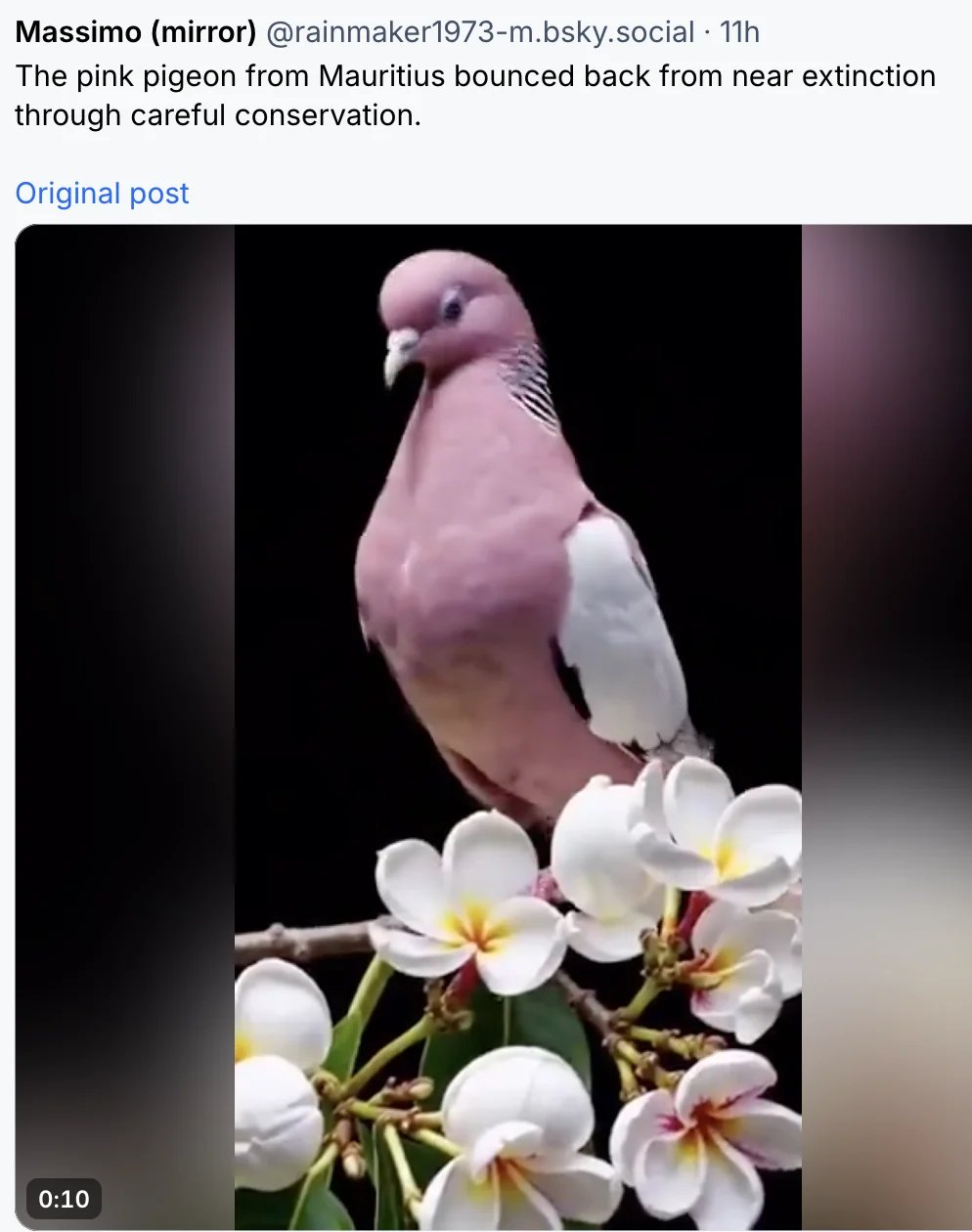 Screenshot 2026-10-03 at 7.50.06 PM.webp