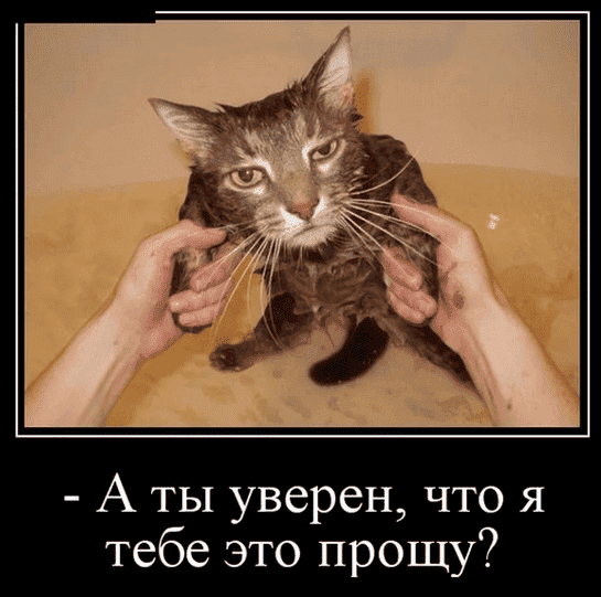 Screenshot from 2021-01-10 18-32-33.png