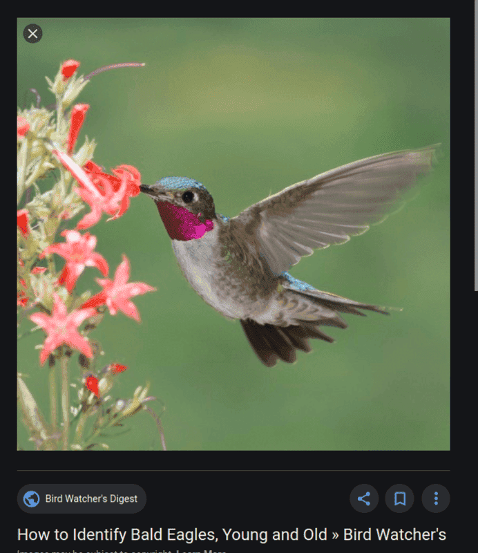 Screenshot from 2021-04-12 13-19-18.png