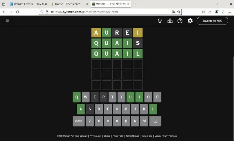 Screenshot from 2025-06-15 18-04-59.webp