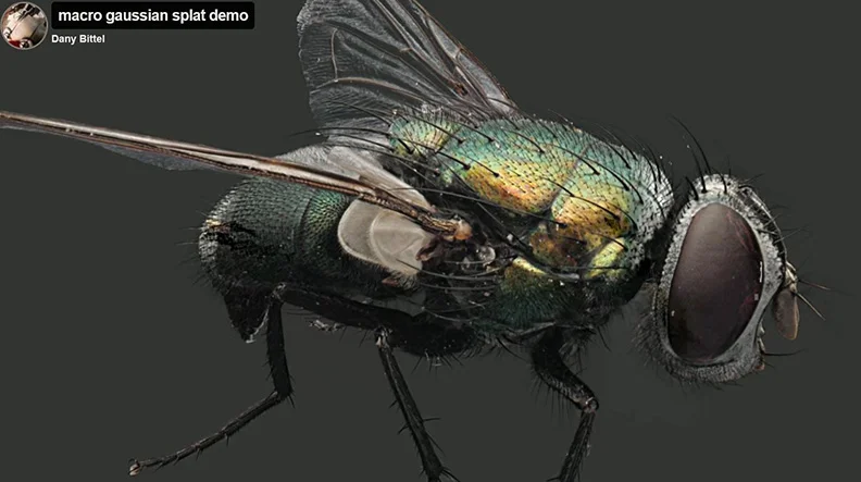 Screenshot.webp